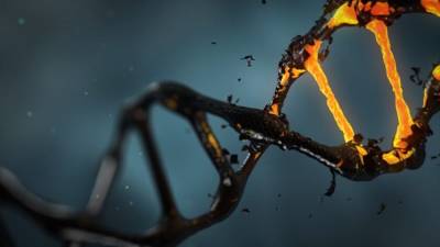 Зарубежные ученые не нашли у детей "чернобыльцев" генетических мутаций