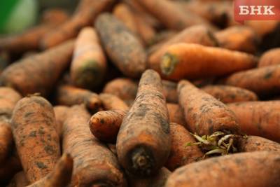 В Коми подорожали морковь и картофель