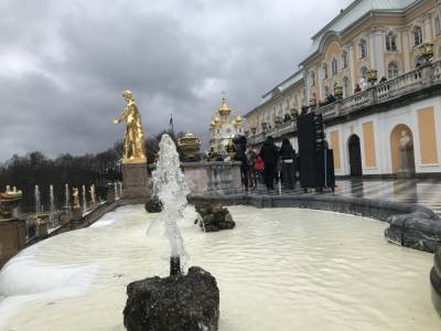 Юбилейный летний сезон фонтанов открылся в музее-заповеднике "Петергоф"