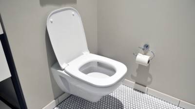 Ученые из США указали на скрытую опасность общественных туалетов