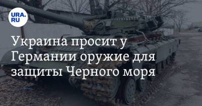 Норберт Реттген - Украина просит у Германии оружие для защиты Черного моря - ura.news
