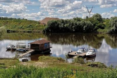 В Тульской области ищут дом с водоемом для лебедя