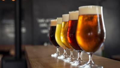 В России задумались об ограничении импорта чешского пива, – СМИ