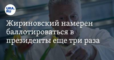 Жириновский намерен баллотироваться в президенты еще три раза