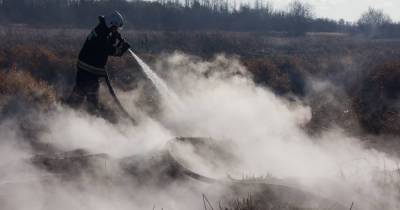 В Калининградской области с 26 апреля установят особый противопожарный режим