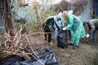 Тысяча кубометров мусора и посаженные деревья - в Липецке подводят итоги субботников