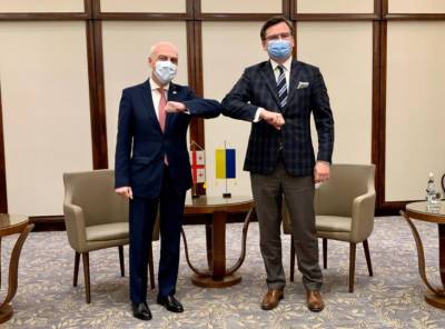 "Вопрос времени": Украина и Грузия договорились о координации действий для получения ПДЧ