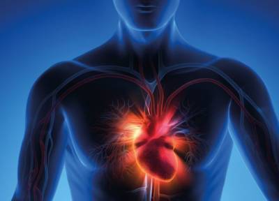 Коварный инфаркт миокарда опасен своей внезапностью: как определить и что делать