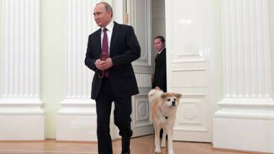 Путин поспособствовал увеличению популярности собак акита-ину в России