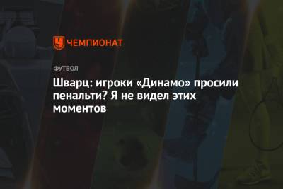 Шварц: игроки «Динамо» просили пенальти? Я не видел этих моментов