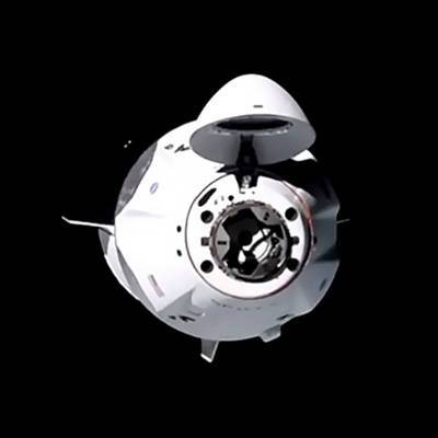 "Роскосмос" ведет переговоры о полетах космонавтов на Crew Dragon