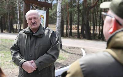 «Коллективный президент». Лукашенко хочет вручить судьбу Беларуси в руки Совбеза