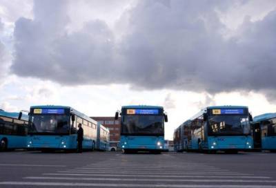 Петербург получит почти три тысячи новых автобусов перед стартом транспортной реформы