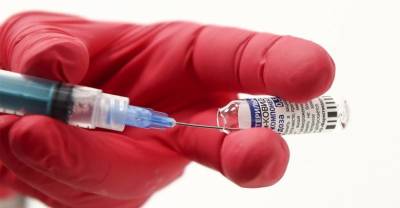 Президент Молдавии поблагодарила Россию за поставки вакцины "Спутник V"
