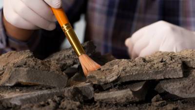 Археологи нашли в Британии отпечаток пальца возрастом пять тысяч лет