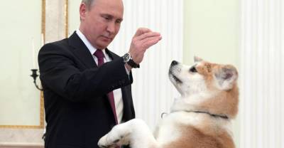 Японцы поблагодарили Путина за тренд, заданный им ещё в 2012 году
