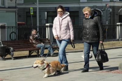 Синоптики сообщили москвичам о прохладной погоде 25 апреля