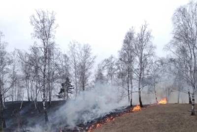 В Бурятии лес загорелся из-за пала травы