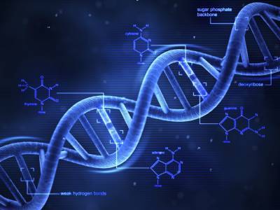 Этот день в истории: открытие молекулярной структуры ДНК