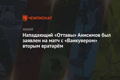 Нападающий «Оттавы» Анисимов был заявлен на матч с «Ванкувером» вторым вратарём