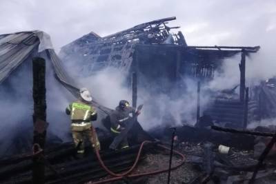 В Челябинской области сгорели два дома, погибли три человека