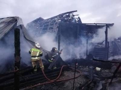 В Челябинской области три человека погибли на пожаре