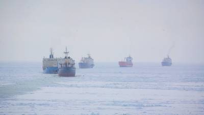 Войска Северного флота вернулись с учений по разрешению кризисных ситуаций в Арктике