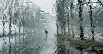 Дожди и заморозки: погода в Украине на Вербное воскресенье (КАРТА)