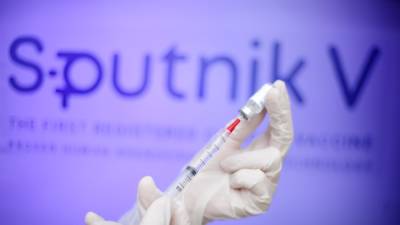 Президент Молдавии поблагодарила Россию за поставку вакцины "Спутник V"