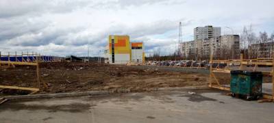 Жители Петрозаводска обнаружили забор рядом с местом недавней вырубки деревьев