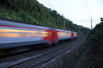 Скорый пригородный поезд «Орлан» перевез в Башкирии больше 1000 пассажиров