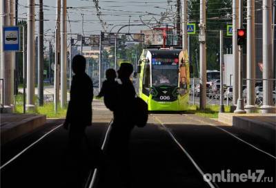 Полиция разбирается со школьниками, обстрелявшими трамвай в Петербурге