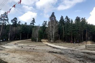 В Волжске началось обустройство лыжероллерной трассы