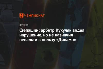 Степашин: арбитр Кукуляк видел нарушение, но не назначил пенальти в пользу «Динамо»