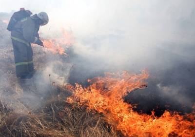 Пожарные Петербурга с начала весны 291 раз тушили горящую траву