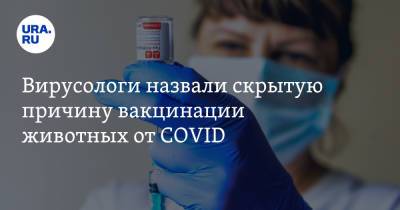 Вирусологи назвали скрытую причину вакцинации животных от COVID