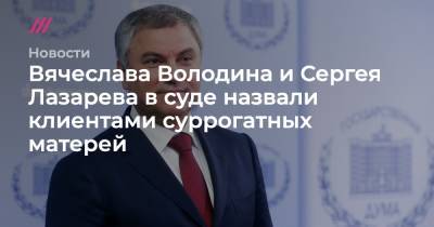 Вячеслав Володин - Сергей Лазарев - Филипп Киркоров - Евгений Миронов - Константин Свитнев - Вячеслава Володина и Сергея Лазарева в суде назвали клиентами суррогатных матерей - tvrain.ru