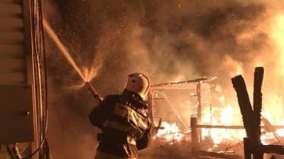 Пятилетний ребенок погиб при пожаре в жилом доме под Екатеринбургом