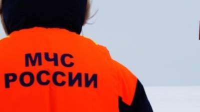МЧС сообщило об отсутствии пострадавших при обрушении строительных лесов в Москве