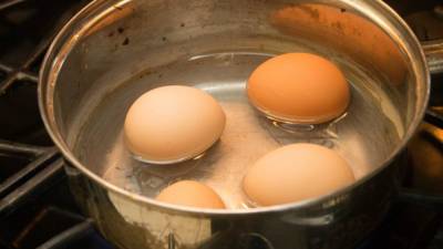 Диетолог развеял популярное заблуждение о вреде частого употребления яиц