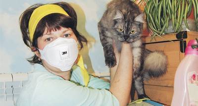 Дело не только в кошках: мифы и правда об аллергии
