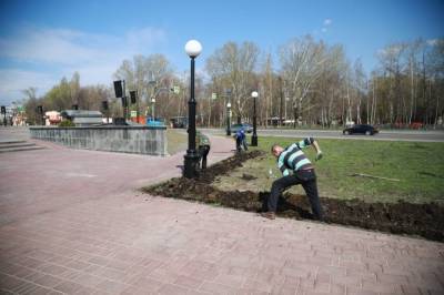 Площадь Петра Великого скоро зазеленеет