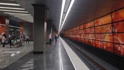 Движение по серой ветке московского метро заблокировано из-за человека на путях