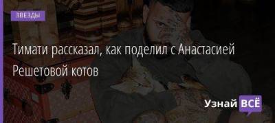 Тимати рассказал, как поделил с Анастасией Решетовой котов