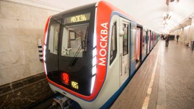 Движение поездов на юге серой ветки московского метро остановлено