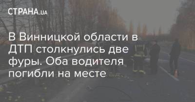 В Винницкой области в ДТП столкнулись две фуры. Оба водителя погибли на месте