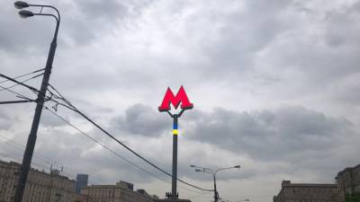 На серой ветке московского метро восстановили движение после падения пассажира на рельсы