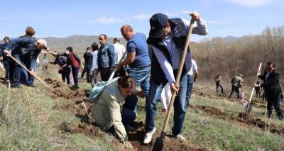 В Армении проходит общереспубликанская акция по посадке деревьев
