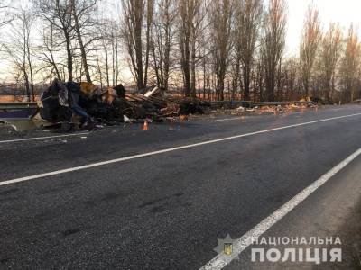В Винницкой области грузовик попали в жуткое ДТП: есть погибшие – фото, видео 18+