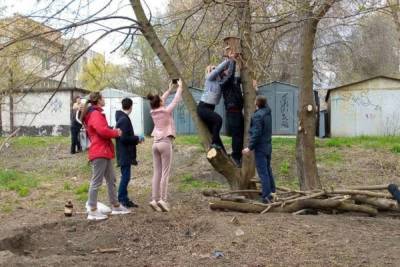 Донецкие школьники помогают благоустроить парковую зону